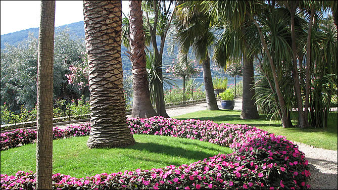Les jardins d'isola Madre