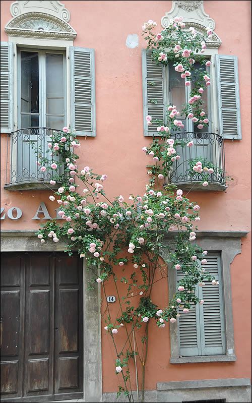 Maison de Vogogna